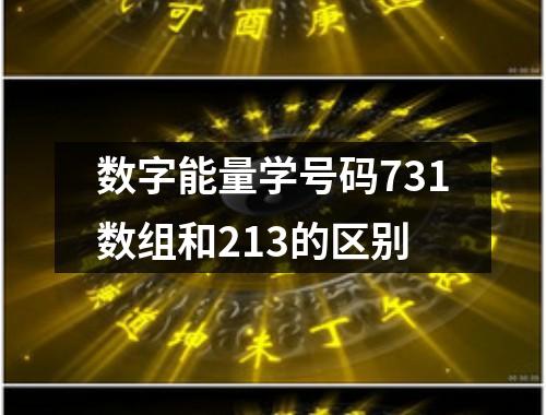 数字能量学号码731数组和213的区别
